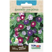 Sementes de Ipoméia Purpúrea (Sortida) TOPSEED