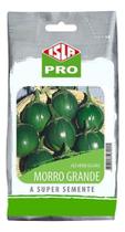 Sementes de Jilo Morro Grande Verde Pac C/ 50gr