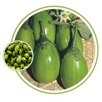 Sementes de Jilo Tingua Verde Claro 1gr de Sementes