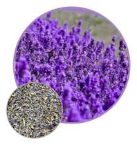 Sementes de Lavanda 300mg - SEEDS Sementes de Lavanda 300mg - SEEDS