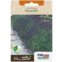 Sementes de Lavanda TOPSEED Sementes de Lavanda TOPSEED