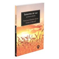 Sementes de Luz