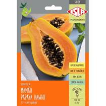 Sementes de Mamão Hawaii Papaya - 2g de sementes