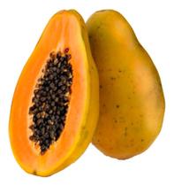 Sementes de Mamao Papaya Hawaii Env c/ 2.50gr de Sementes - ISLA SEMENTES