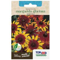 Sementes de Margarida Gloriosa (Sortida) TOPSEED