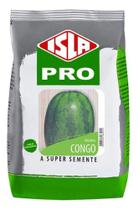 Sementes de Melancia Congo Pac C/ 500gr de Sementes Sementes de Melancia Congo Pac C/ 500gr de Sementes