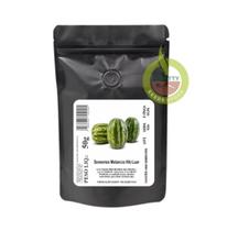 Sementes De Melancia Hib Luar 5.000 Sementes