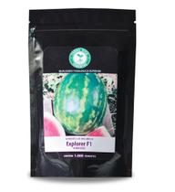 Sementes De Melancia Híbrida Explorer 100 unidades