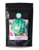 Sementes De Melancia Híbrida Explorer F1 - 1.000 Sementes