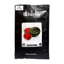 Sementes de Melancia Híbrida Granada Env. C/ 1.000 Sementes - FELTRIN