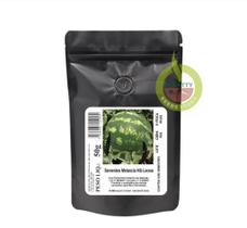 Sementes De Melancia Hibrida Leona 10.000 Unidades