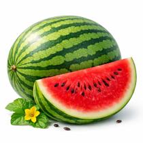 Sementes de Melancia Polpa Vermelha Doce para Plantio Pacote com 10 Unidades