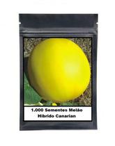 Sementes de Melão Híbrido Canarian 1.000 unidades