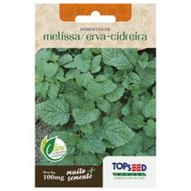 SEMENTES DE MELISSA ERVA CIDREIRA 100mg - TOP SEED