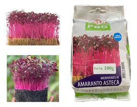 Sementes de Microverdes de Amaranto Asteca Pac C/ 100gr de Sementes - ISLA SEMENTES