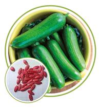 Sementes de Mini Pepino Hibrido Merenda 20 sementes