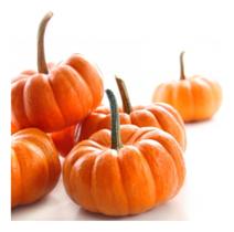 Sementes de Moranga mini Brigette Env C/ 10gr de Sementes