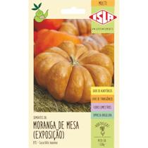 Sementes de Morango de Mesa (Exposição) com 3 Gramas - 1321 - ISLA Sementes de Morango de Mesa (Exposição) com 3 Gramas - 1321 - ISLA