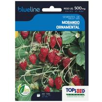 Sementes de Morango Ornamental Blueline TOPSEED Sementes de Morango Ornamental Blueline TOPSEED