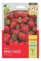 Sementes de Morango Sensaçao - Env C/ 50mg de Sementes