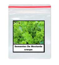 Sementes De Mostarda crespa 50 unidades Sementes De Mostarda crespa 50 unidades