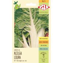 Sementes de Multi Acelga Loura com 2,5 Gramas - 1721 - ISLA Sementes de Multi Acelga Loura com 2,5 Gramas - 1721 - ISLA