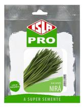 Sementes de Nira Alho Japones Cartela C/ 1000 Sementes