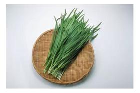 Sementes de Nira Nira Envelope C/ 200mg de Sementes