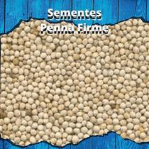 Sementes de Perila Branca 200g Comercial Penna Firme Sementes de Perila Branca 200g Comercial Penna Firme