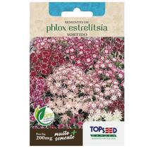 Sementes de Phlox Estrelitsia (Sortida) TOPSEED