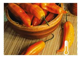 Sementes de Pimenta Andina 2,5gr de Sementes Sementes de Pimenta Andina 2,5gr de Sementes
