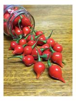 Sementes de Pimenta Bico/ Pimenta Doce Env C/ 400mg Sementes de Pimenta Bico/ Pimenta Doce Env C/ 400mg