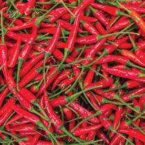 Sementes de Pimenta BRS Mari Dedo de Moça Env C/ 1.50gr