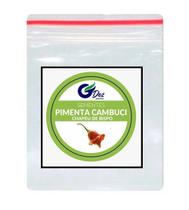 Sementes De Pimenta Cambuci Chapéu De Bispo 100 unidades