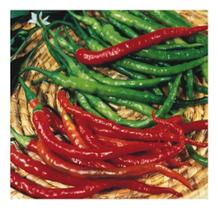 Sementes de Pimenta Cayenne Slin Env C/ 2gr