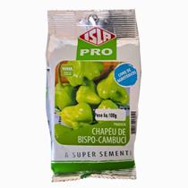 Sementes de Pimenta Chapéu de Bispo Cambuci 100g Isla Ciclo Anual de Produção Sementes de Pimenta Chapéu de Bispo Cambuci 100g Isla Ciclo Anual de Produção