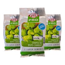 Sementes de Pimenta Chapéu de Bispo Cambuci 300g Isla Ciclo Anual de Produção Sementes de Pimenta Chapéu de Bispo Cambuci 300g Isla Ciclo Anual de Produção