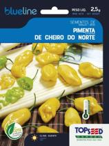 Sementes de Pimenta de Cheiro do Norte 2,5 grama Topseed Sementes de Pimenta de Cheiro do Norte 2,5 grama Topseed