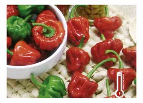 Sementes de Pimenta Jamaican Red 2,5gr de Sementes Sementes de Pimenta Jamaican Red 2,5gr de Sementes