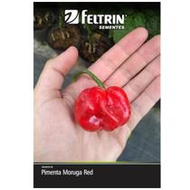 Sementes de Pimenta Moruga Red FELTRIN