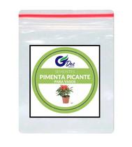 Sementes De Pimenta picante para vaso 100 unidades Sementes De Pimenta picante para vaso 100 unidades