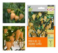 Sementes de Pimenta Tui Brs Biquinho Salmao Env c/ 1grama de Sementes Sementes de Pimenta Tui Brs Biquinho Salmao Env c/ 1grama de Sementes