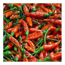 Sementes de Pimenta Vulcao/ Pimenta Ardida Env C/400mg Sementes de Pimenta Vulcao/ Pimenta Ardida Env C/400mg