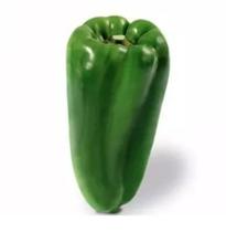 Sementes De Pimentão Dahra R 1000 Sementes