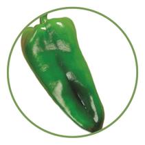 Sementes De Pimentão Ikeda 2,5g - topseeds