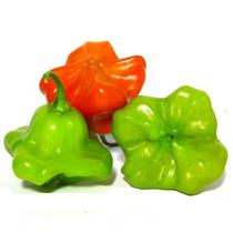 Sementes de Pimentas Diversas Variedades