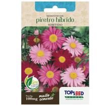 Sementes de Piretro Hibrido (Sortida) TOPSEED Sementes de Piretro Hibrido (Sortida) TOPSEED