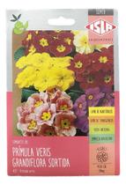 Sementes de Primula Veris Granfiflora Sortida Env c/ 50mg Sementes de Primula Veris Granfiflora Sortida Env c/ 50mg