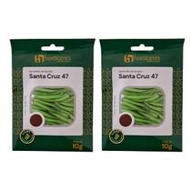 Sementes de Quiabo Santa Cruz 20g Horticeres Cultivo Profissional e Caseiro Sementes de Quiabo Santa Cruz 20g Horticeres Cultivo Profissional e Caseiro