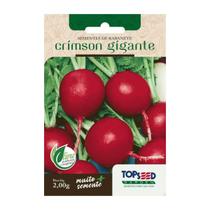 Sementes De Rabanete Crimson Gigante Tradicional 2,00g Sementes De Rabanete Crimson Gigante Tradicional 2,00g